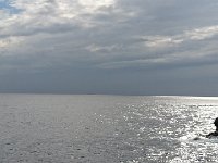 DSC 0105