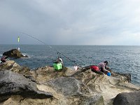 DSC 0106