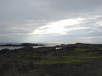 DSC 0110
