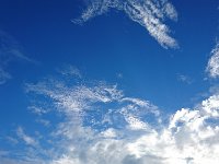 DSC 0120