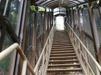 DSC 0131  This is the creepiest staircase on the planet! Steep, slippery, and spidery!