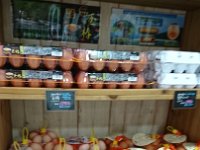 DSC 0310  In the Port Market you can find all kinds of fresh food. These eggs tell me chickens are around somewhere...