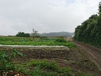 DSC 0433  This is again the inaka - countryside - on my way to the barn. I love it.