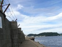 DSC 0451  Seawall jog again...now I'm not so afraid. The last time I really wondered how I was going to get back in, and if a tsunami came, how would I scale the wall and barbed wire. This time I knew there was another opening I could get through...so I just went for it.