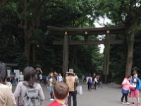 DSC 0611  Going to the Meiji Jingu shrine. This is a Japanese holiday as well - health and sports day. We might be nuts to go sightseeing on a Japanese holiday, but so be it. That was the time we had. Boys were well enough to get out.