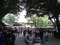 DSC 0612