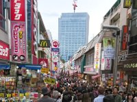 DSC 0620  This is madness. It's where there is a lot of cosplay and vendors hawking things and just a bit looser sort of crowd and ambiance than usually found (the Japanese people are in general a very quiet and sedate culture, very polite).