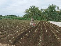 DSC 0628