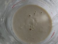 DSC 0648  I'm starting a new sourdough starter. Some bubbles starting to appear!