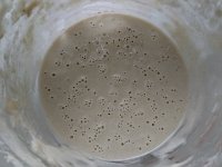 DSC 0685