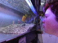 DSC 0690  That's a cute fish. Not the one in the tank.
