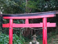 DSC 0713  Mini tori gate to a little shrine.