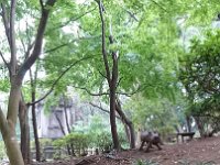 DSC 0719