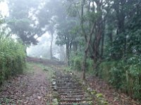 DSC 0724  And more stairs. Slippery. But impossible to not explore.