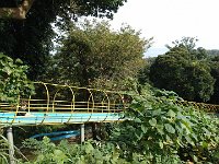 DSC 0783