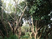 DSC 0784