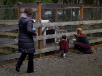 20131127 Krug 0053 : Bainbridge Island, Continent, Family, Family Description, Krug, North America, Pacific Northwest, People, TYPE, United States, WORLD LOCATION, Washington, children, grandparents, parents