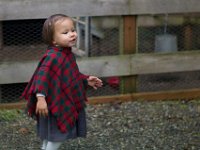 20131127 Krug 0058 : Bainbridge Island, Continent, Family, Family Description, Krug, North America, Pacific Northwest, People, TYPE, United States, WORLD LOCATION, Washington, children, grandparents, parents